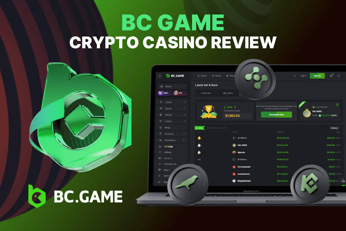 Everything You Need to Know About BC.Game Login